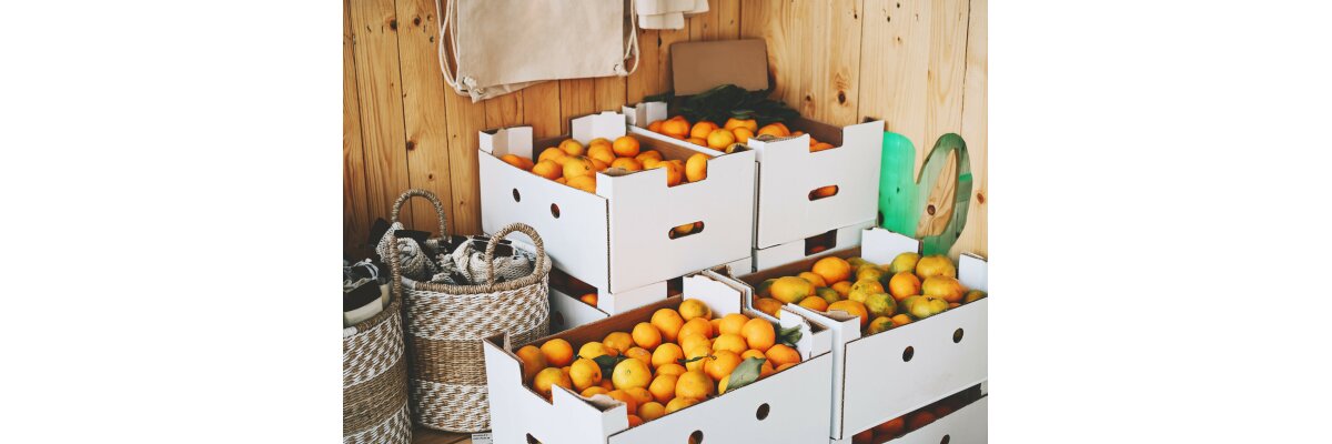 Alternatives to Plastic: The Cardboard - Alternatives to Plastic: The Cardboard