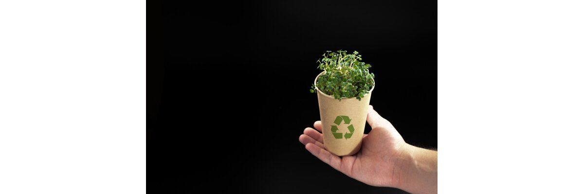 Sustainable Packaging – Cartons as an Eco-Friendly Version - Sustainable Packaging – Cartons as an Eco-Friendly Version