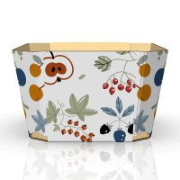 Schalen Früchtemix | 250 g | 111x77x58 mm