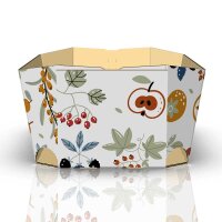 Schalen Früchtemix | 500 g | 157x92x58 mm