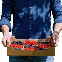 Steige | 1,5 kg | 375x274x83 mm