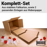 BOXXcool Faltkartons mit Wabeninlay | 237x187x190 mm | 7,5 Liter