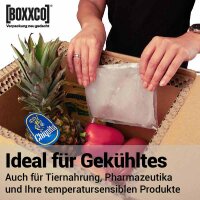 BOXXcool folding boxes with honeycomb inlay | 307x227x230 mm | 15 liters