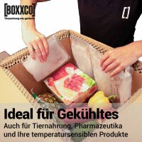 BOXXcool Faltkartons mit Wabeninlay | 387x287x290 mm | 30 Liter