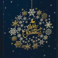 Präsentkartons Christmas Ball | 2 Wein-/Sektflaschen...