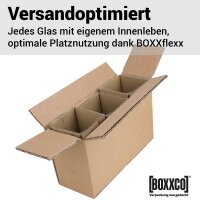 BOXXflexx Glasversandkartons | 3 Gläser | Komplettset