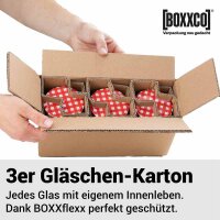 BOXXflexx Glasversandkartons | 3 Gläser | Komplettset