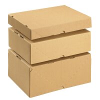 Stülpdeckelkartons DIN A4 305x215x150 mm