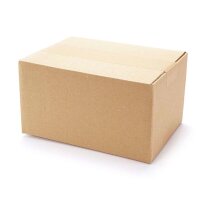 Faltkartons bedruckbar 220x160x120 mm