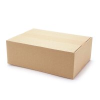 Faltkartons bedruckbar 300x215x100 mm