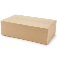 Faltkartons bedruckbar 340x200x100 mm