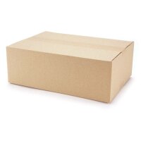 Faltkartons bedruckbar 350x250x120 mm