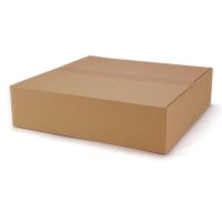Faltkartons bedruckbar 400x400x100 mm