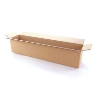 Faltkartons bedruckbar 500x100x100 mm