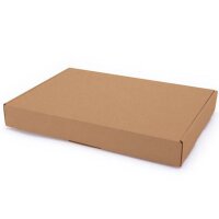 Maxibriefe braun bedruckbar 344x245x45 mm