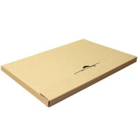 Großbriefkartons braun bedruckbar 340x240x14 mm