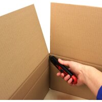 Faltkartons bedruckbar 400x300x150-300 mm