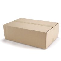 Faltkartons bedruckbar 586x386x178 mm