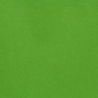 Papiertragetaschen 220x100x280 mm|gerippt|grün