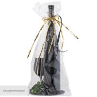 Foil bag transparent 300x500 mm