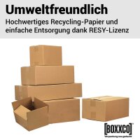Versandkartons für Bag-in-Box 2 x 3 Liter 300x230x150 mm