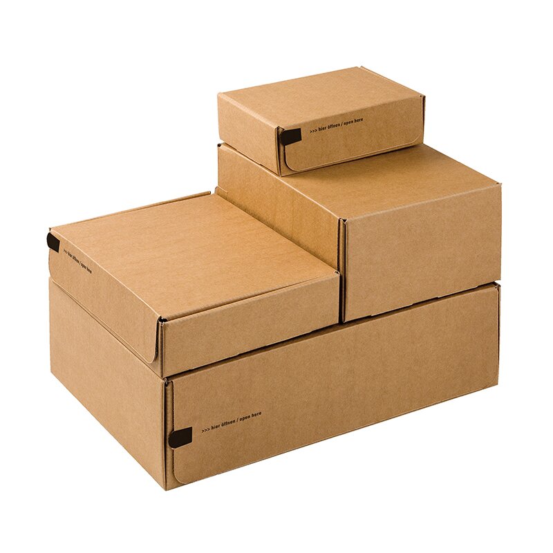 ModulBOXX 305x210x91 mm (DIN A4)