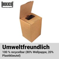 Kartons Bag-in-Box 3 Liter