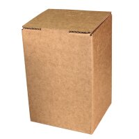 Kartons Bag-in-Box indiv. Standarddruck 5 Liter, 2c-Druck