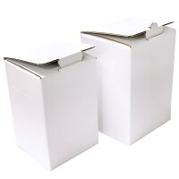 Kartons Bag-in-Box indiv. Premiumdruck 5 Liter, 4c-Druck