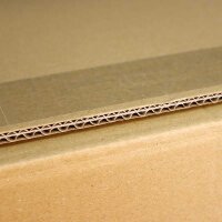 ECOLINE Flaschenkartons | 12 Flaschen 0,75 L | 420x305x368 mm