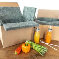 Faltkartons mit Vlies-Inlay | 580x380x200 mm | 44 Liter
